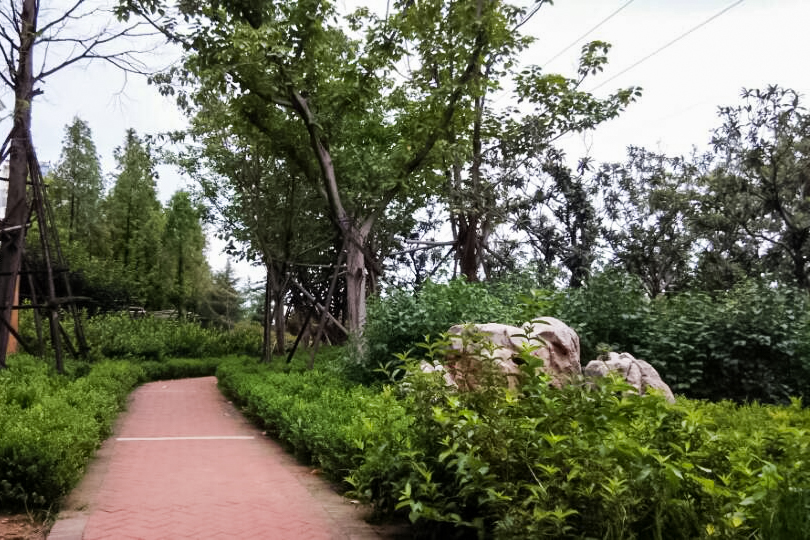 奮進(jìn)路道路綠化工程