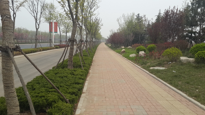 高新區(qū)火炬大道西延線道路及綜合配套工程