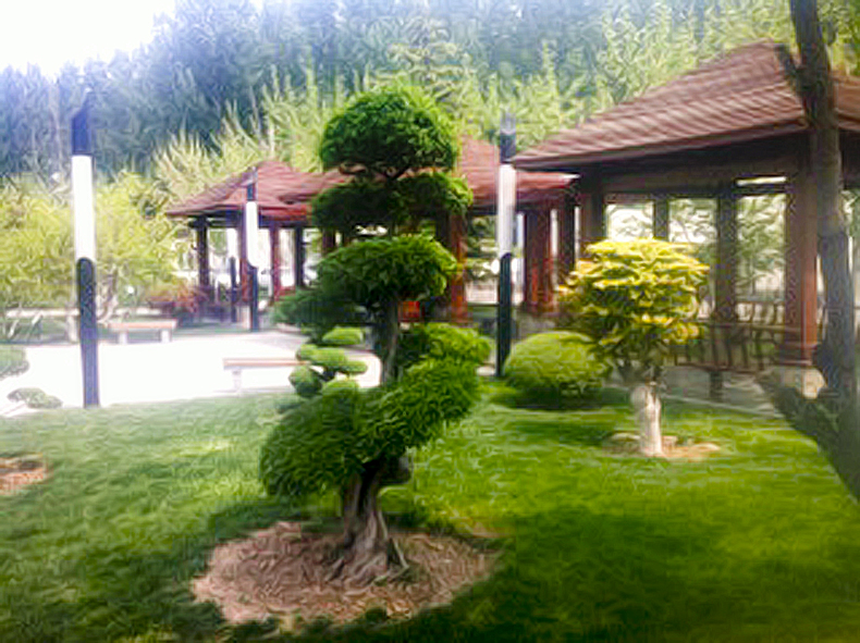 集團大明湖園林工程公司成功中標玉清湖街道辦事處鄉(xiāng)村連片治理項目二標段景觀綠化工程