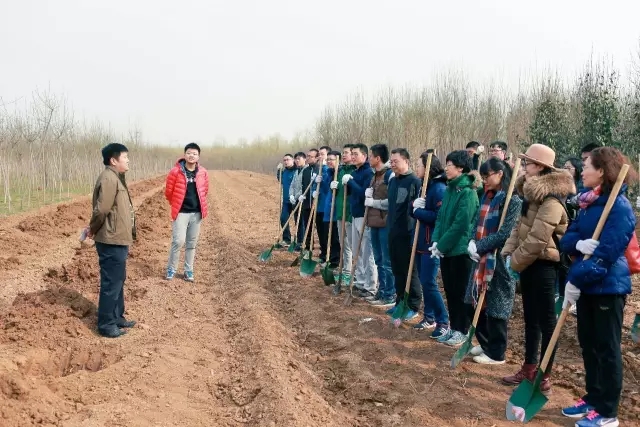 春風(fēng)十里不及一抹綠 | 集團(tuán)開展義務(wù)植樹活動(dòng)