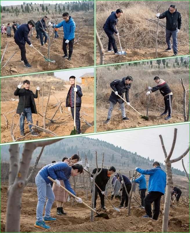 青春有約·綠滿泉城 | 集團開展義務(wù)植樹活動